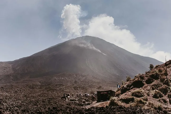 Shared Pacaya Hike from Guatemala City