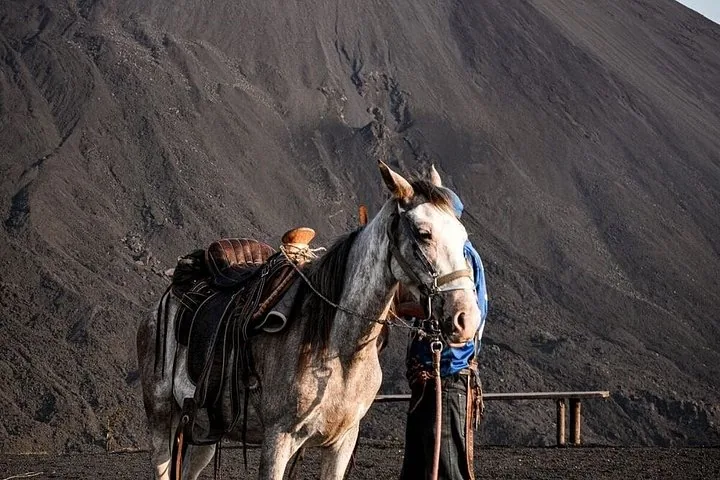 A white horse with a saddle standing on dark volcanic sand below the volcano slope