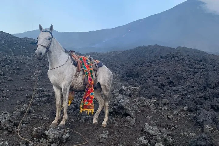 A white horse with a colourful woven saddle blanket standing on a black lava field below the cone