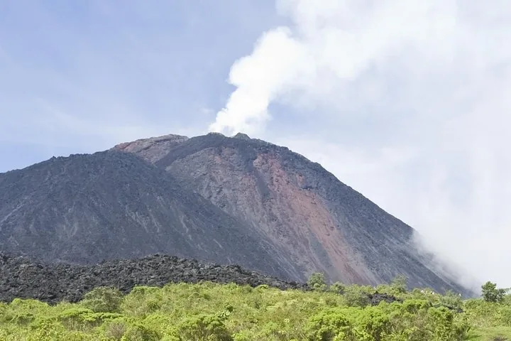 The reddish-grey cone of Pacaya with a steam plume drifting from the top, green scrub in front